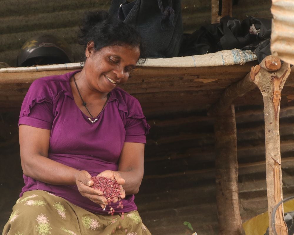 Through Vikalpani around 35 women in Moneragala are working tirelessly to preserve traditional and endemic seeds to Sri Lanka