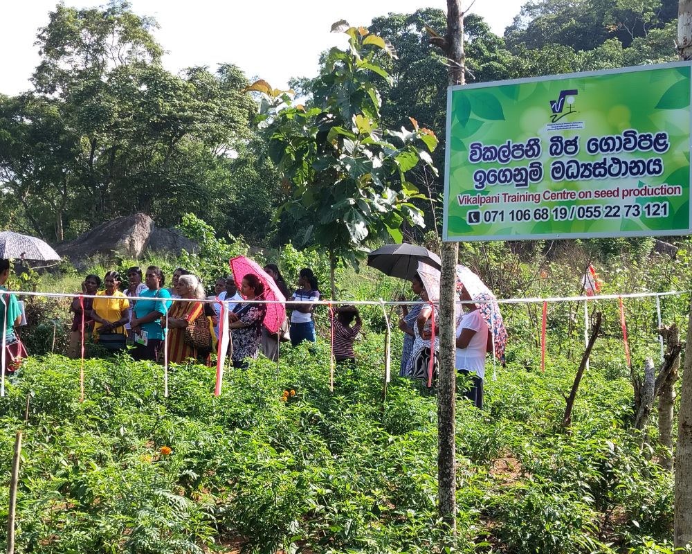 Vikalpani also regularly engages the communities in the nearby areas for knowledge sharing sessions to empower women and youth