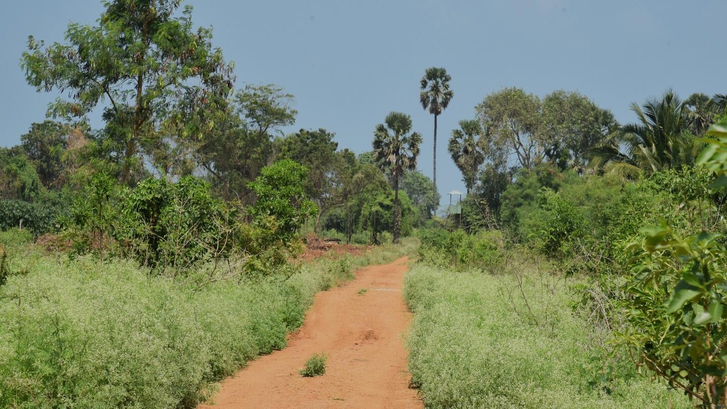 A Mother’s Strength: Virudara’s journey to safe motherhood in Sri Lanka’s northern region.